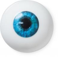 3D Eye Ball