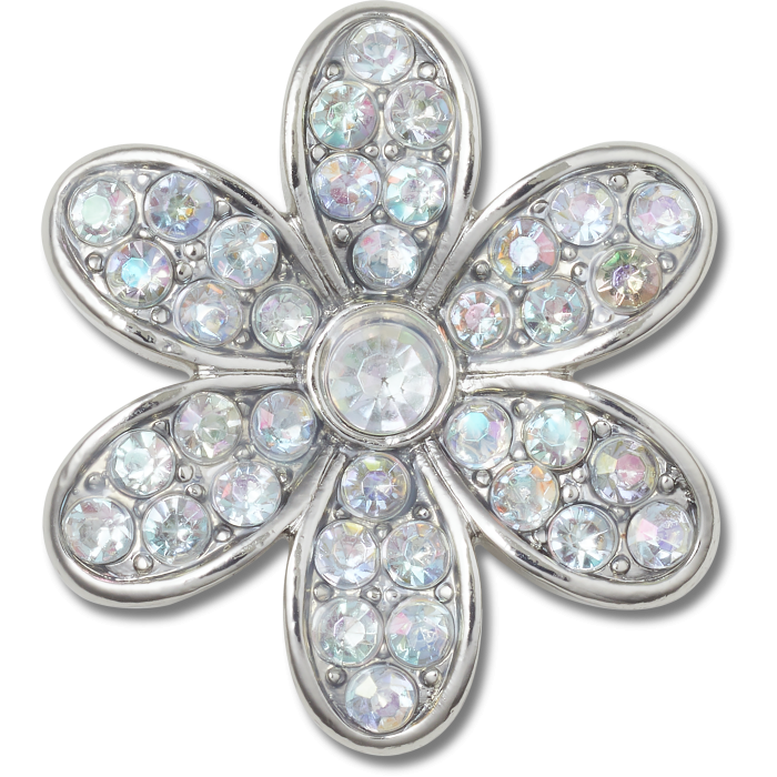 Silver Mnchrm Daisy 1
