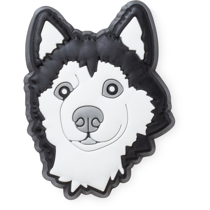 Husky Dog