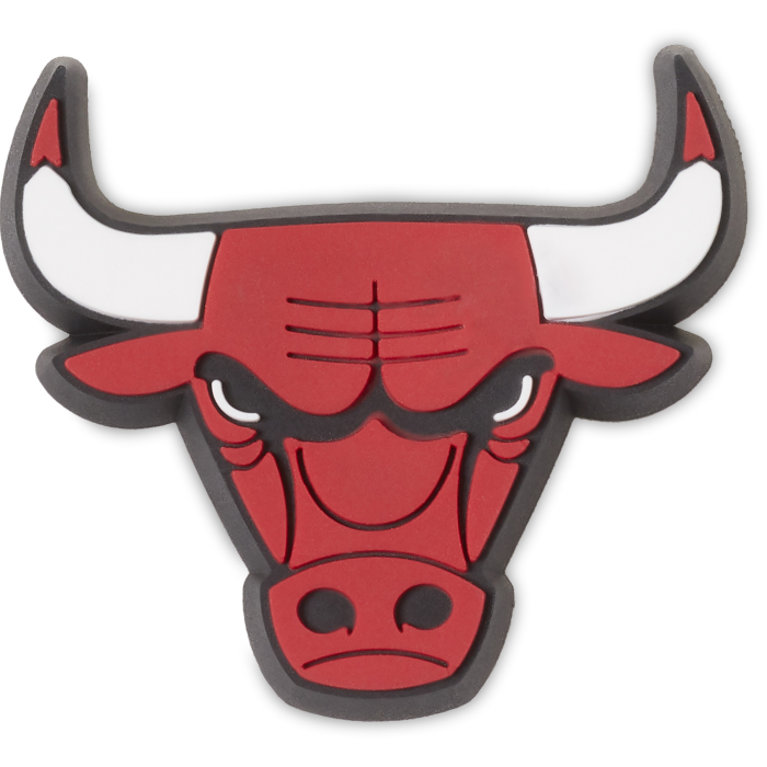 NBA Chicago Bulls Logo