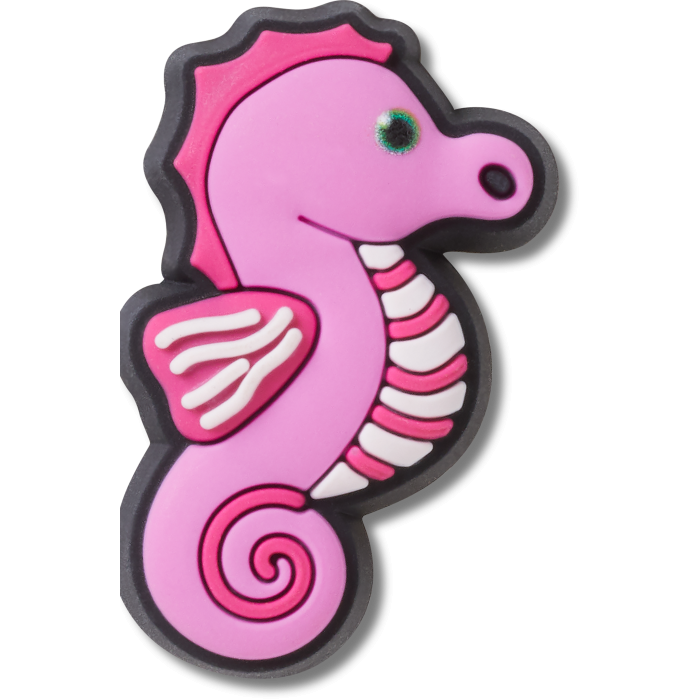 Baby Animal Seahorse