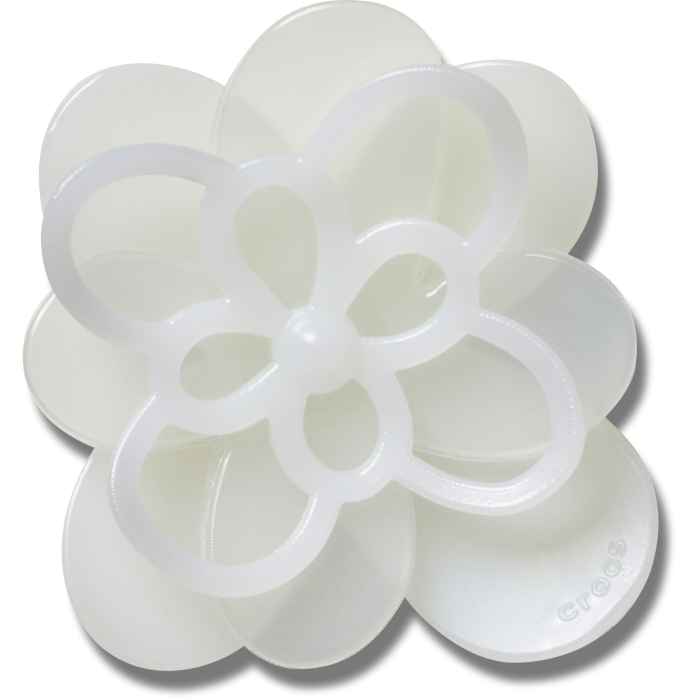 Blooming White Flower 1