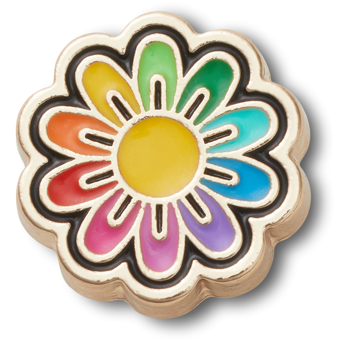Festival Gold Rainbow Daisy