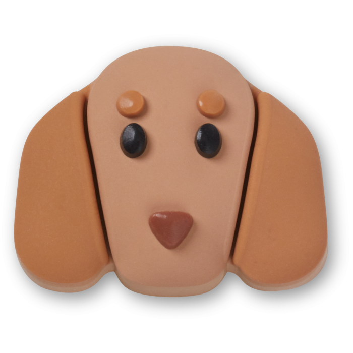 Tiny Dachshund Face