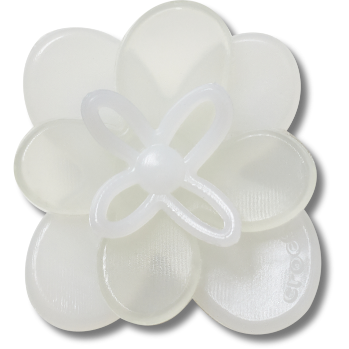Blooming White Flower 2