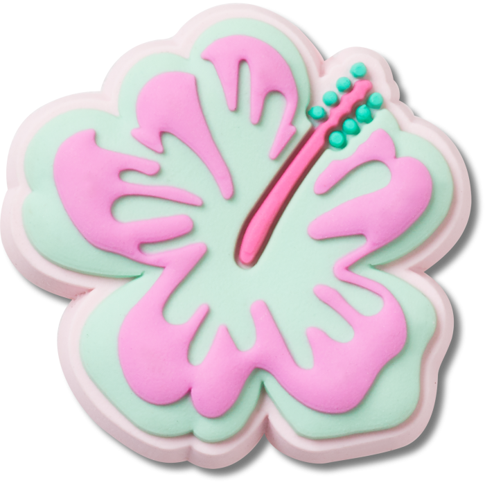 Turquoise and Pink Hibiscus