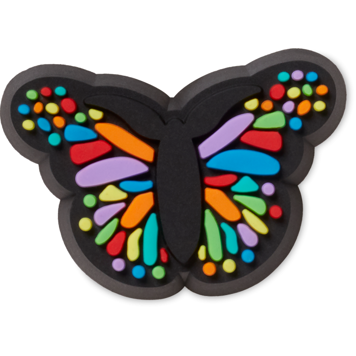 Tiny Colorful Butterfly