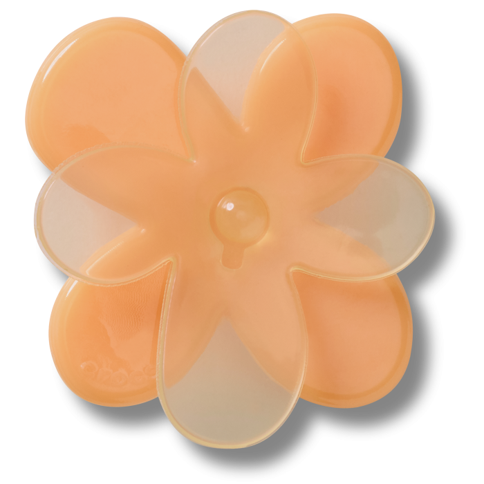 Blooming Orange Flower