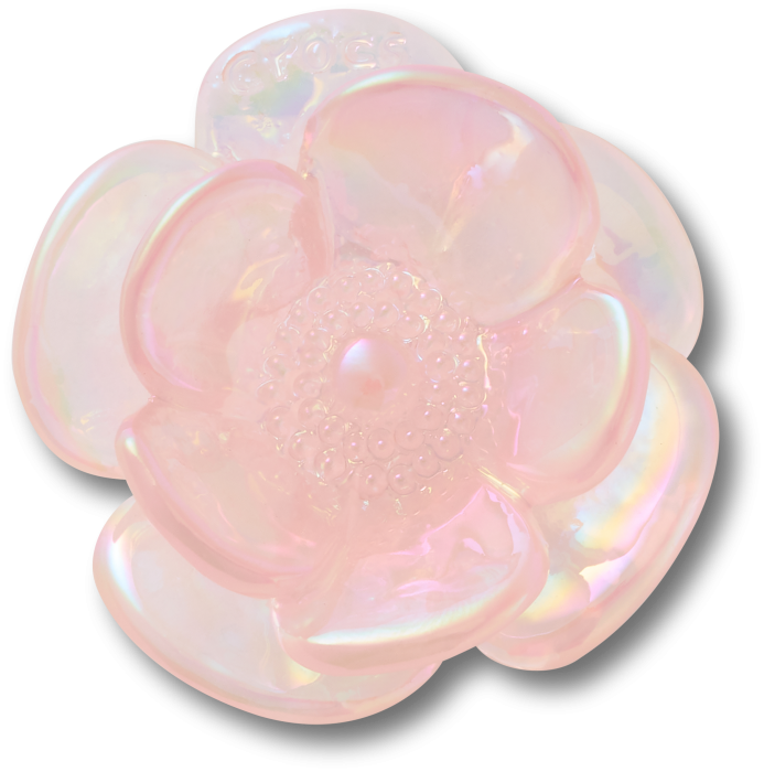 Pink Iridescent Flower