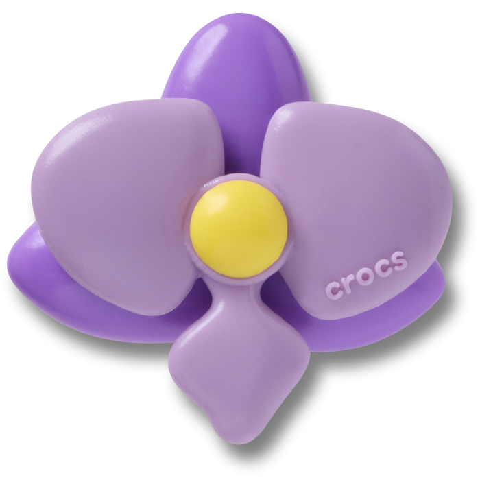 Purple Orchid