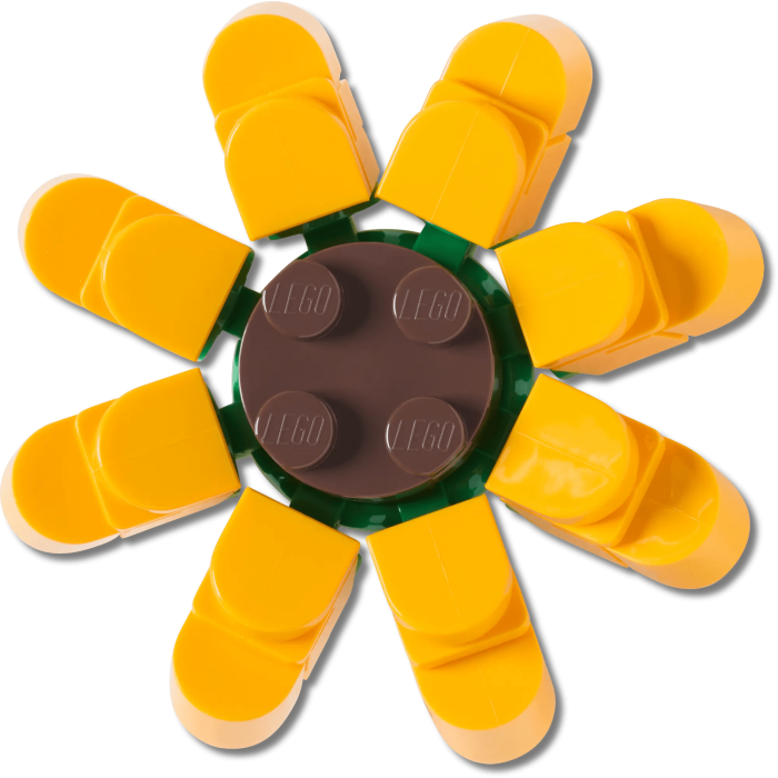 4LW Sunflower