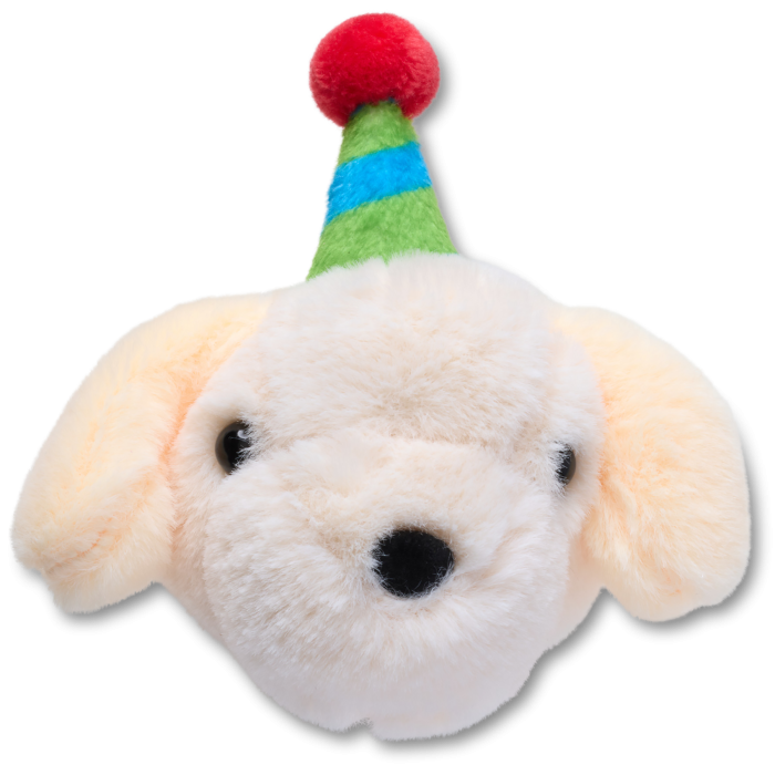 Record Your Own Sound Birthday