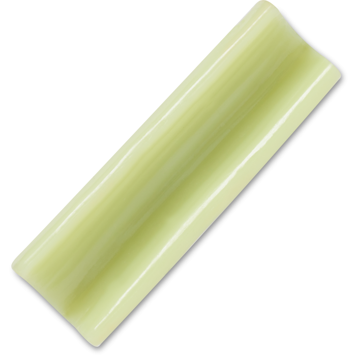 Realistic Celery Slice