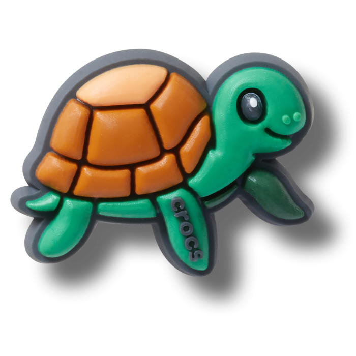 Pet Turtle