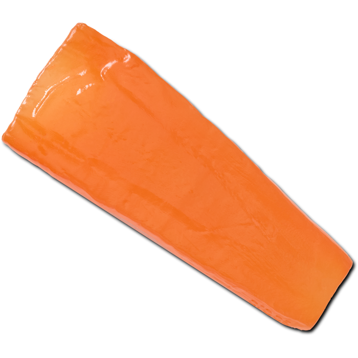 Realistic Carrot Slice